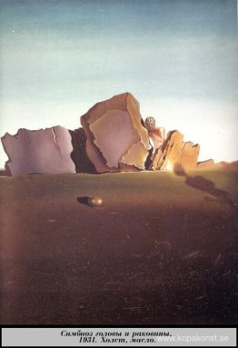 Symbios mellan huvudet och skalet Symbios mellan huvudet och skalet