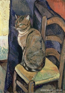 Studie av en katt Studie av en katt