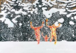 Vinterresa 3 Vinterresa 3