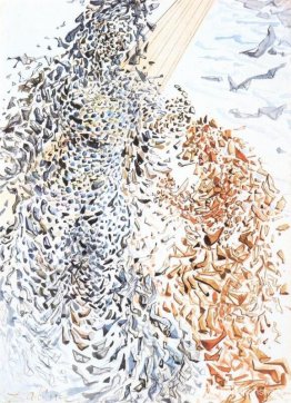 Opposition Opposition