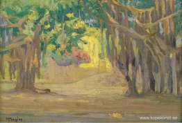 Träd i Kairo Träd i Kairo