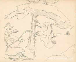 Monhegan (studie) Monhegan (studie)