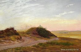 Jylländskt hedlandskap Jylländskt hedlandskap