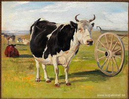 En svart-vit ko En svart-vit ko