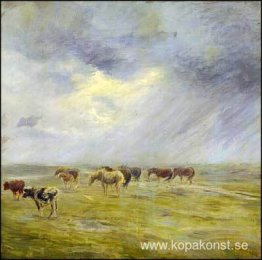 En dusch En dusch