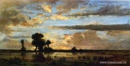 Skogens kant, solnedgång Skogens kant, solnedgång