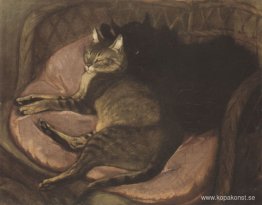 Katter i soffan Katter i soffan