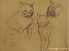 Kattskisser Kattskisser