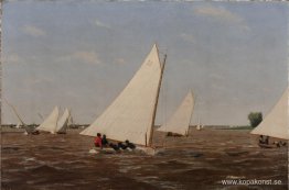 Segelbåtar Racing på Delaware Segelbåtar Racing på Delaware