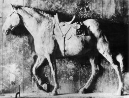 Klinker, G509 Klinker, G509