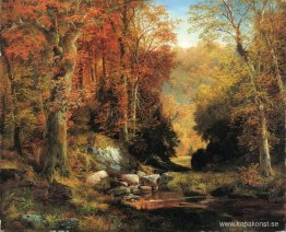 Cresheim Glen, Wissahickon, höst Cresheim Glen, Wissahickon, höst