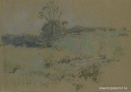 Studie av ett landskap Studie av ett landskap