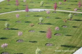 Super Special Happy Place (installationsvy) Super Special Happy Place (installationsvy)