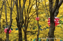 A Little Bird Told Me in Everyday Eden (installationsvy) A Little Bird Told Me in Everyday Eden (installationsvy)