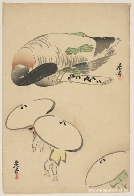 Fasan/Tre män med paraplyer Fasan/Tre män med paraplyer