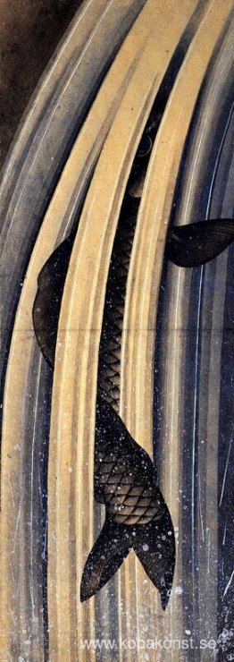 Karp hoppar uppför en kaskad Karp hoppar uppför en kaskad