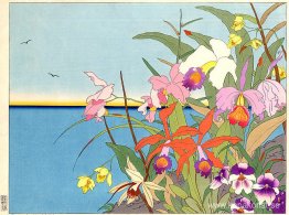 Fleurs Des Iles Lointaines. Mers De Sud Fleurs Des Iles Lointaines. Mers De Sud