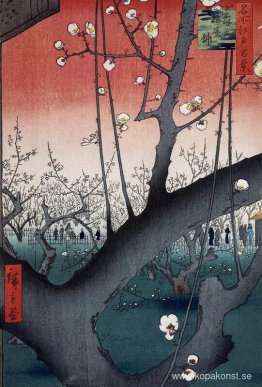 Beskär fruktträdgård Sun Beskär fruktträdgård Sun