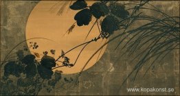 Höstgräs i månsken Höstgräs i månsken