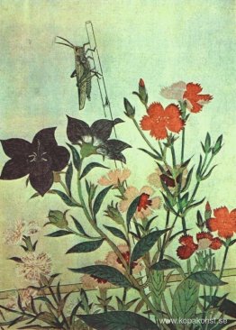 Rice Locust Red Dragonfly Pinks kinesiska Bell Flowers Rice Locust Red Dragonfly Pinks kinesiska Bell Flowers