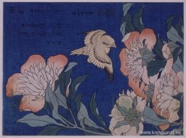 Canary och Peony Canary och Peony