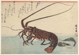 Kräftor och två räkor Kräftor och två räkor