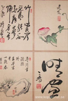 Morning Glory Morning Glory