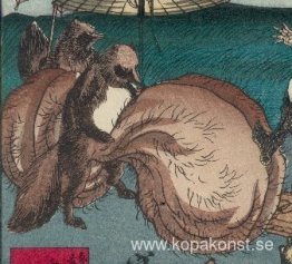 Tanuki Tanuki