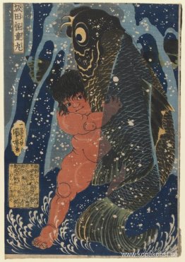 Oniwakamaru och jättekarpen som slåss under vattnet Oniwakamaru och jättekarpen som slåss under vattnet