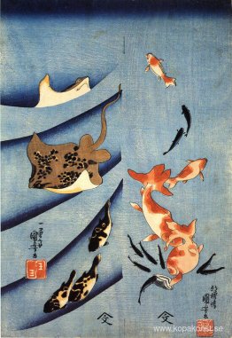 Stingrockor Stingrockor