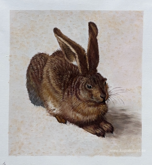 En ung hare 