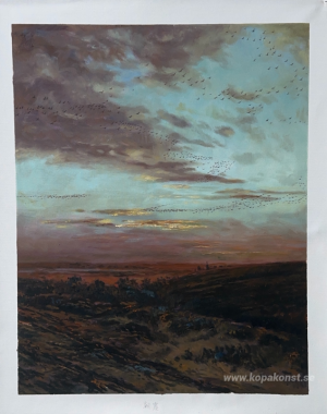 Kvällsflytt av fåglar