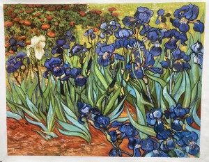 Iris