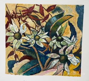 Flanellblommor och gummiblad