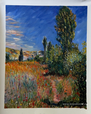 Landskap på Ile Saint-Martin