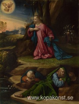 Kval i trädgården Kval i trädgården