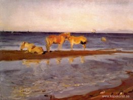 Hästar på en strand Hästar på en strand