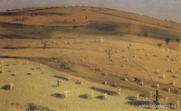 Platsen för slaget som utkämpades den 18 juli 1877 framför Krish Platsen för slaget som utkämpades den 18 juli 1877 framför Krish