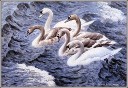 Rock And Roll Rock And Roll