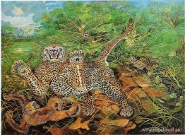 Blak änka Blak änka