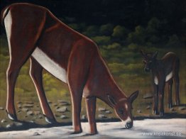 Rådjur med fawn vid bäcken Rådjur med fawn vid bäcken