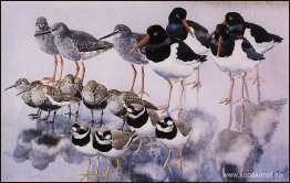 Vattenreflektioner Vattenreflektioner