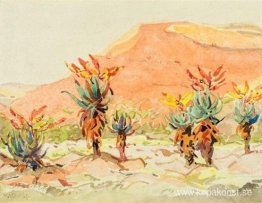 Aloe nära en flod Aloe nära en flod