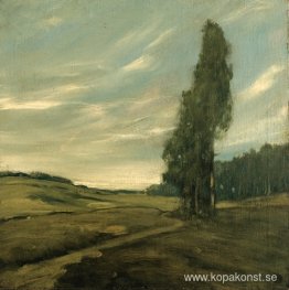 Contra Costa Landskap Contra Costa Landskap