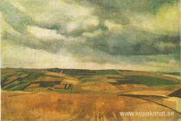 Fält i Neskuchnoye Fält i Neskuchnoye