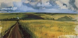 Neskuchnoye. Fält. Neskuchnoye. Fält.